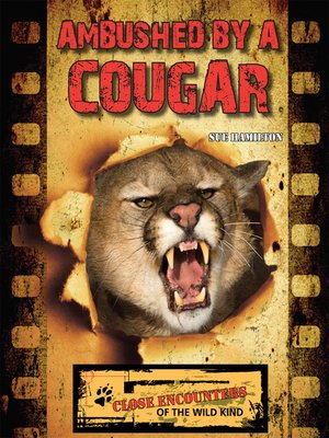 cover image of Ambushed by a Cougar